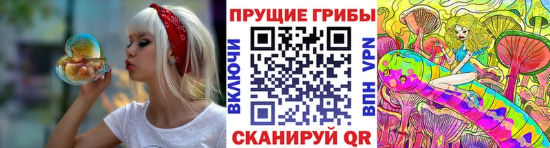 Псилоцибиновые грибы GOLDEN TEACHER  МЕГА ССЫЛКА  Ярославль 